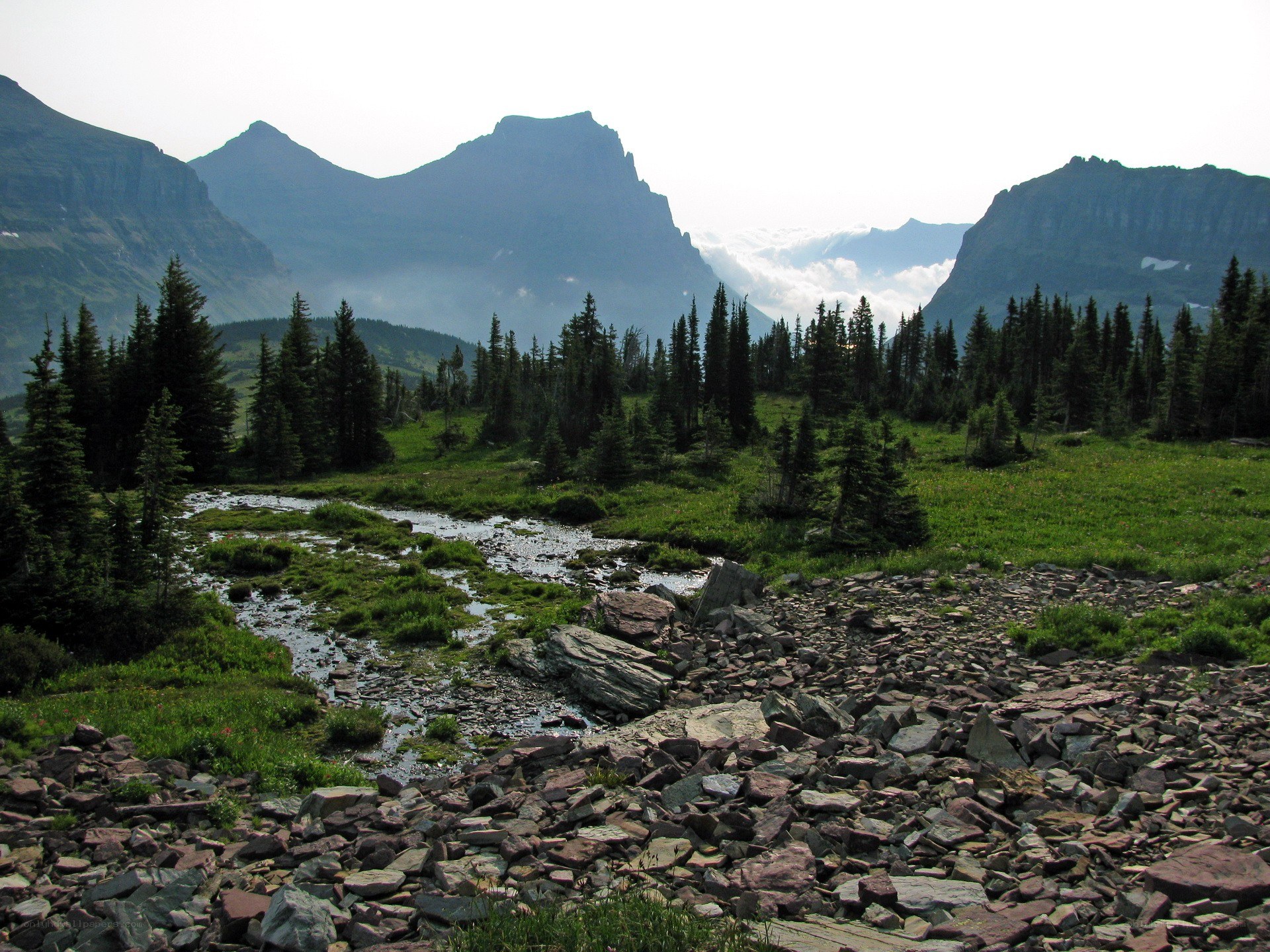 Mountain stream in a valley