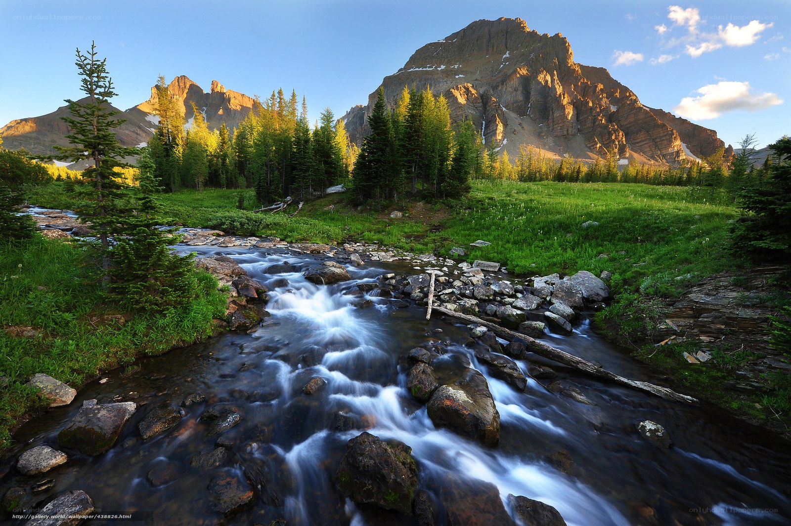 Mountain stream in a valley