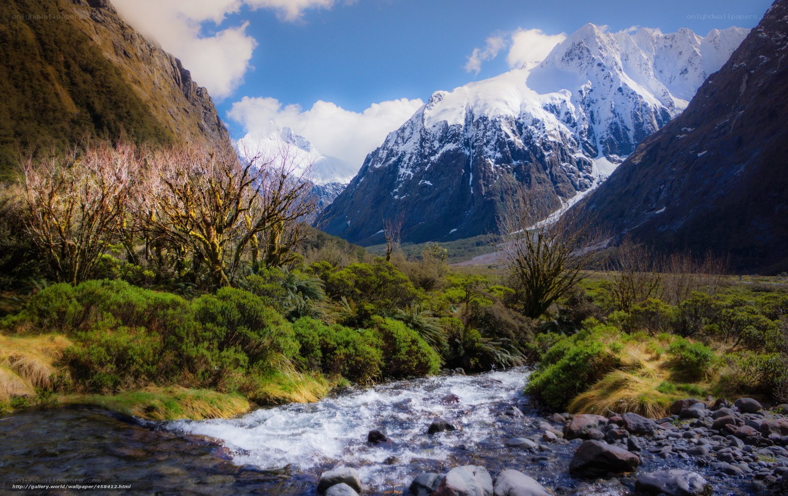 Mountain stream in a valley