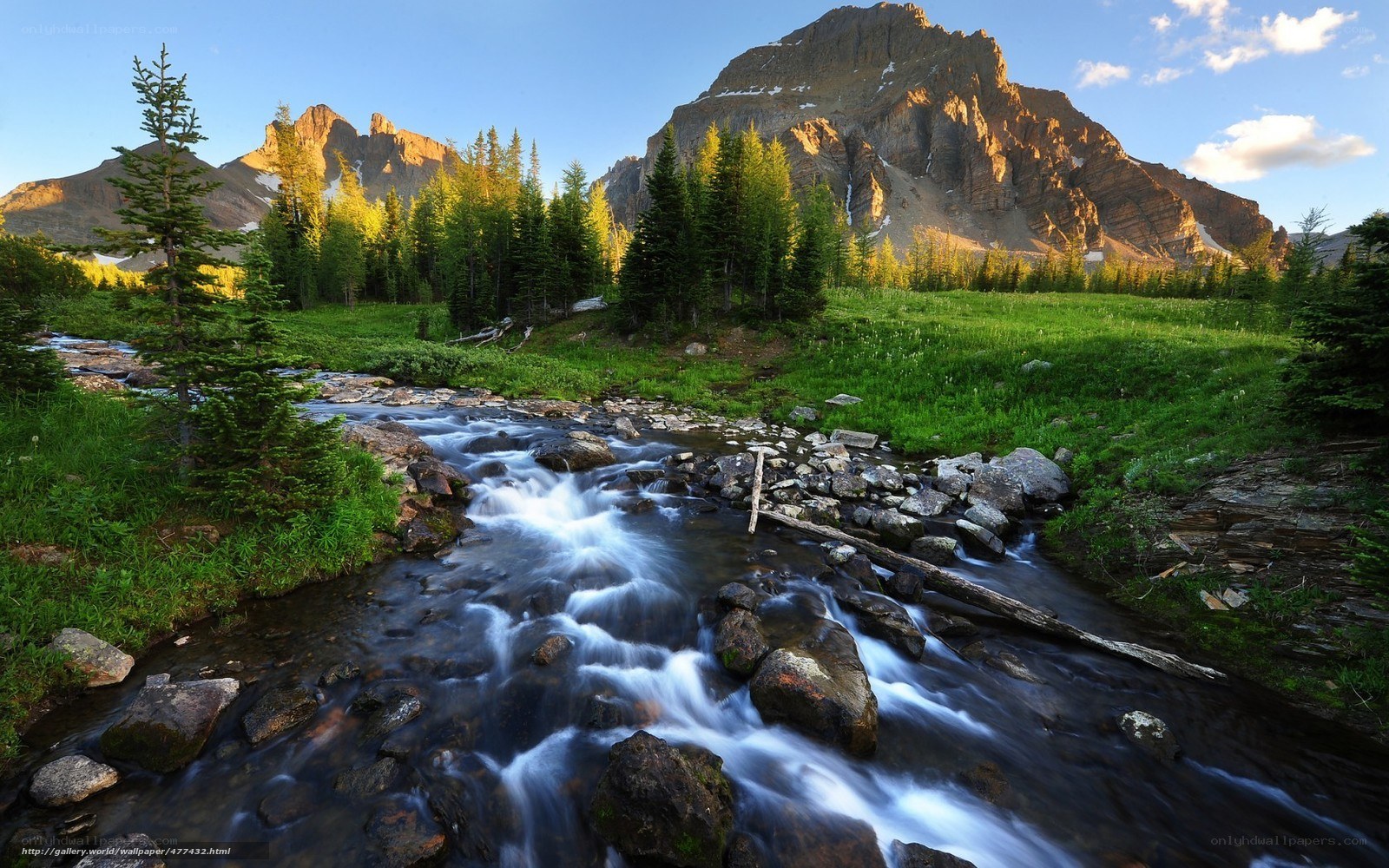 Mountain stream in a valley