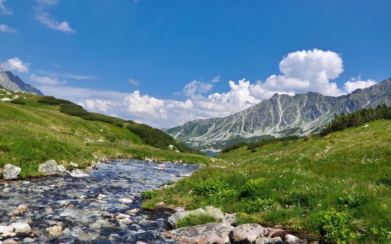 Mountain stream in a valley