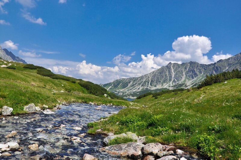 Mountain stream in a valley