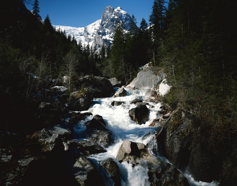 Mountain stream in alpine forest