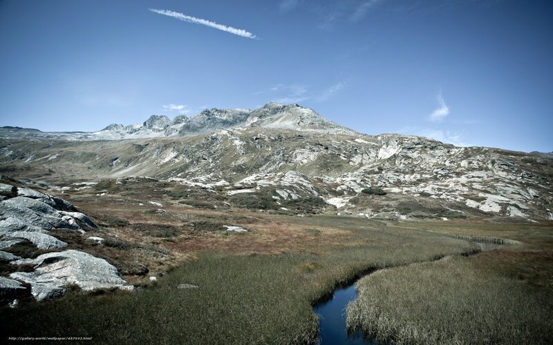 Mountain stream in alpine landscape