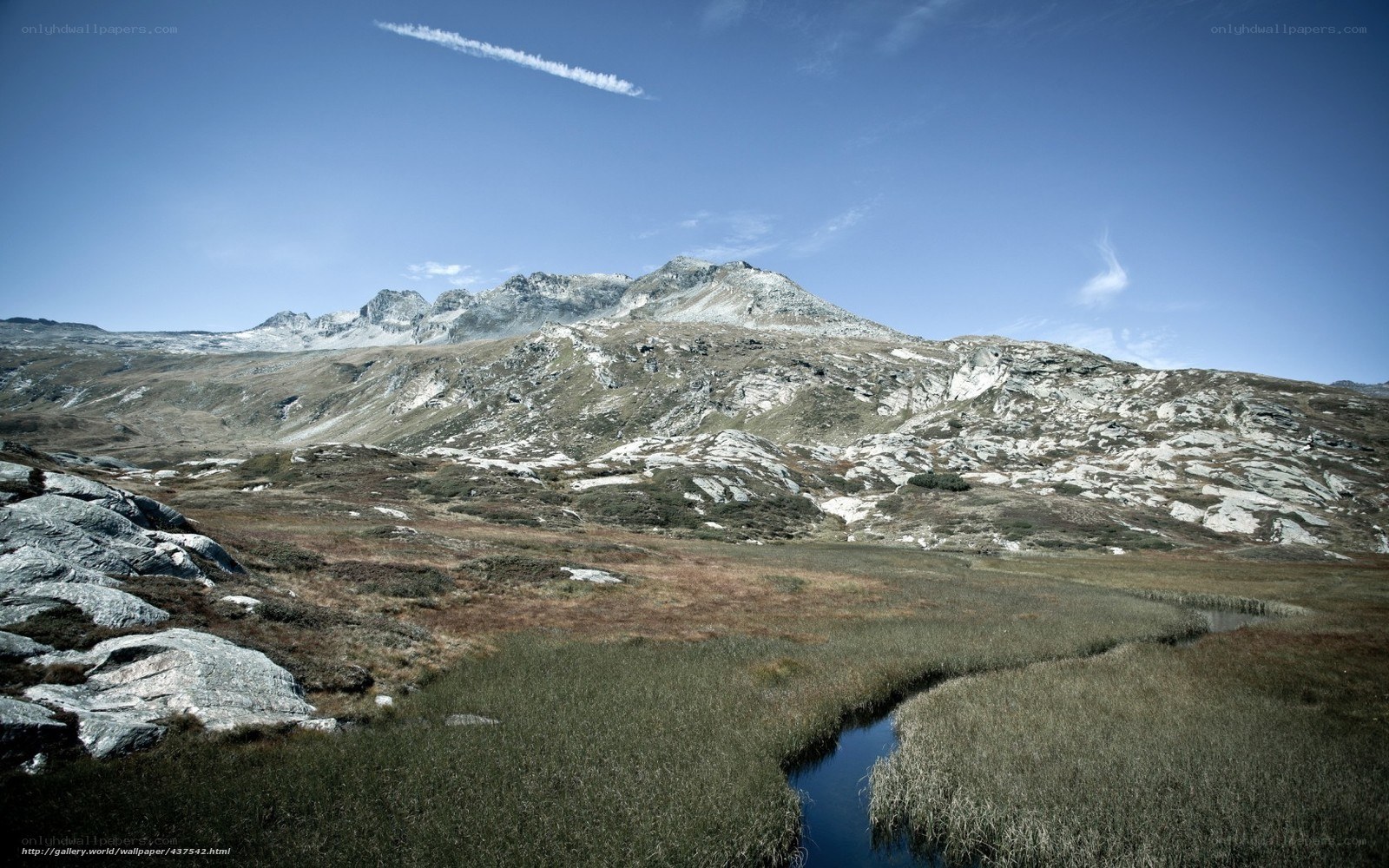 Mountain stream in alpine landscape