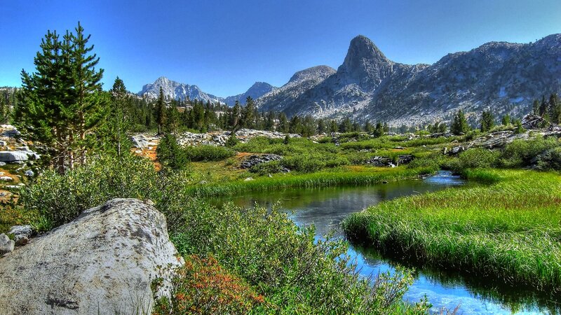 Mountain stream in alpine meadow