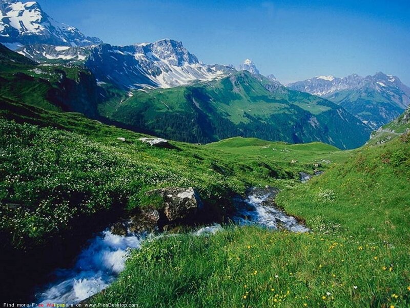 Mountain Stream in Alpine Meadow — Green, Serene