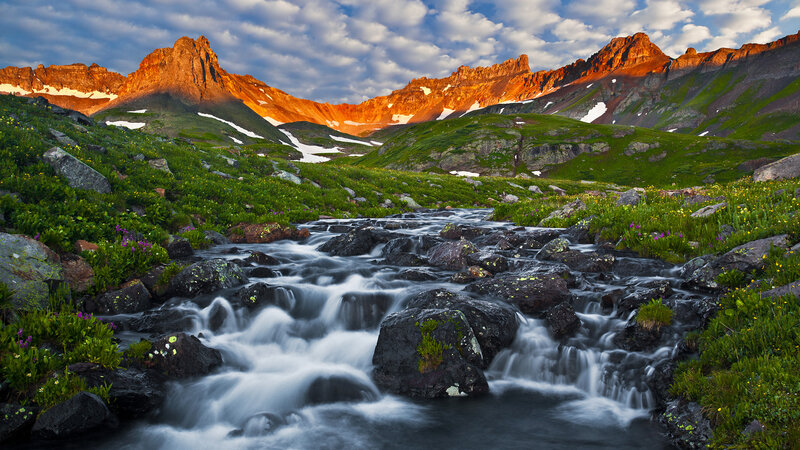 Mountain Stream in Alpine Meadow — Green