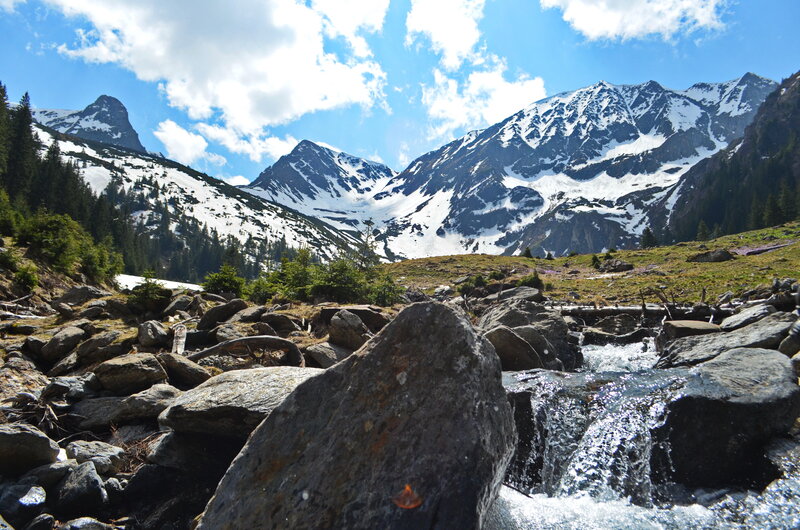 Mountain Stream in Alpine