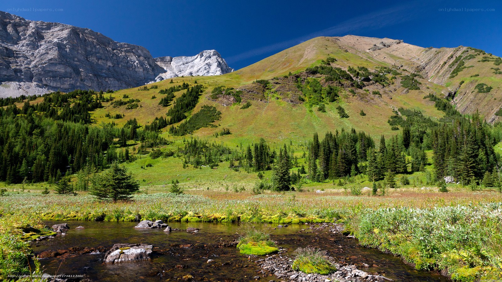 Mountain stream in alpine valley