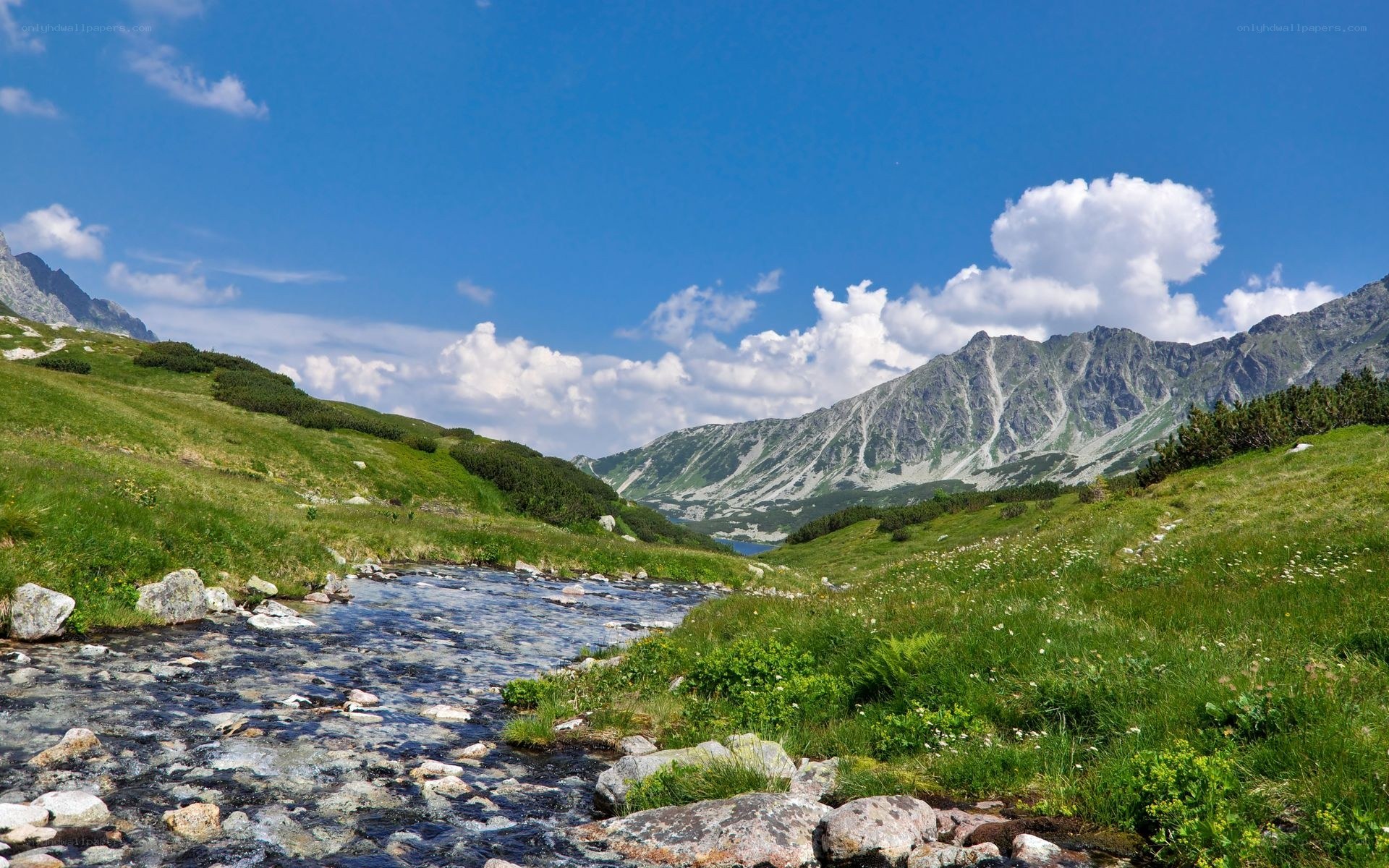 Mountain stream in alpine valley
