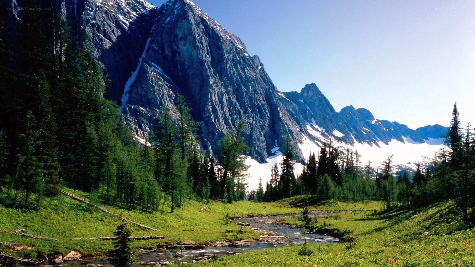 Mountain stream in alpine valley