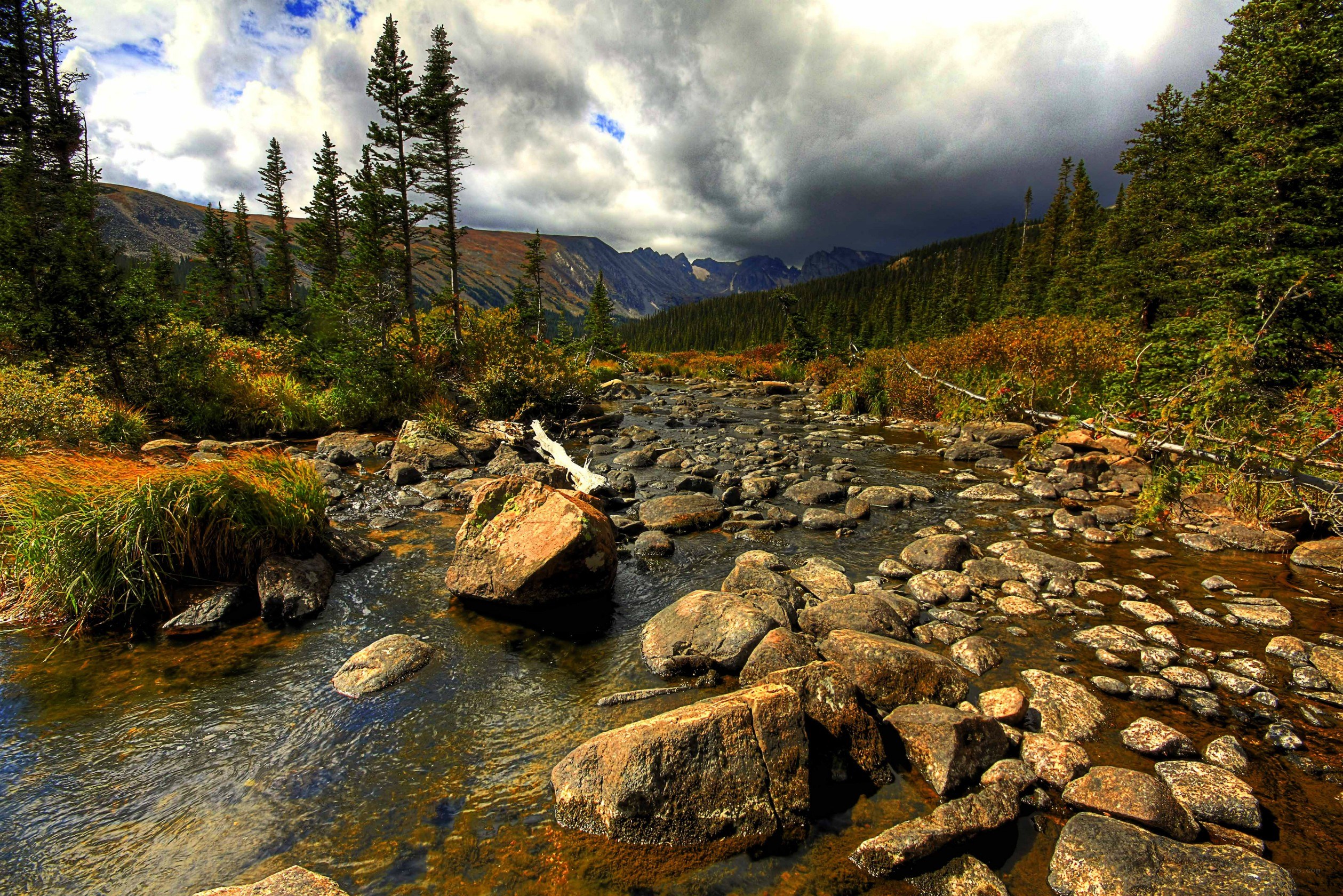 Mountain stream in autumn