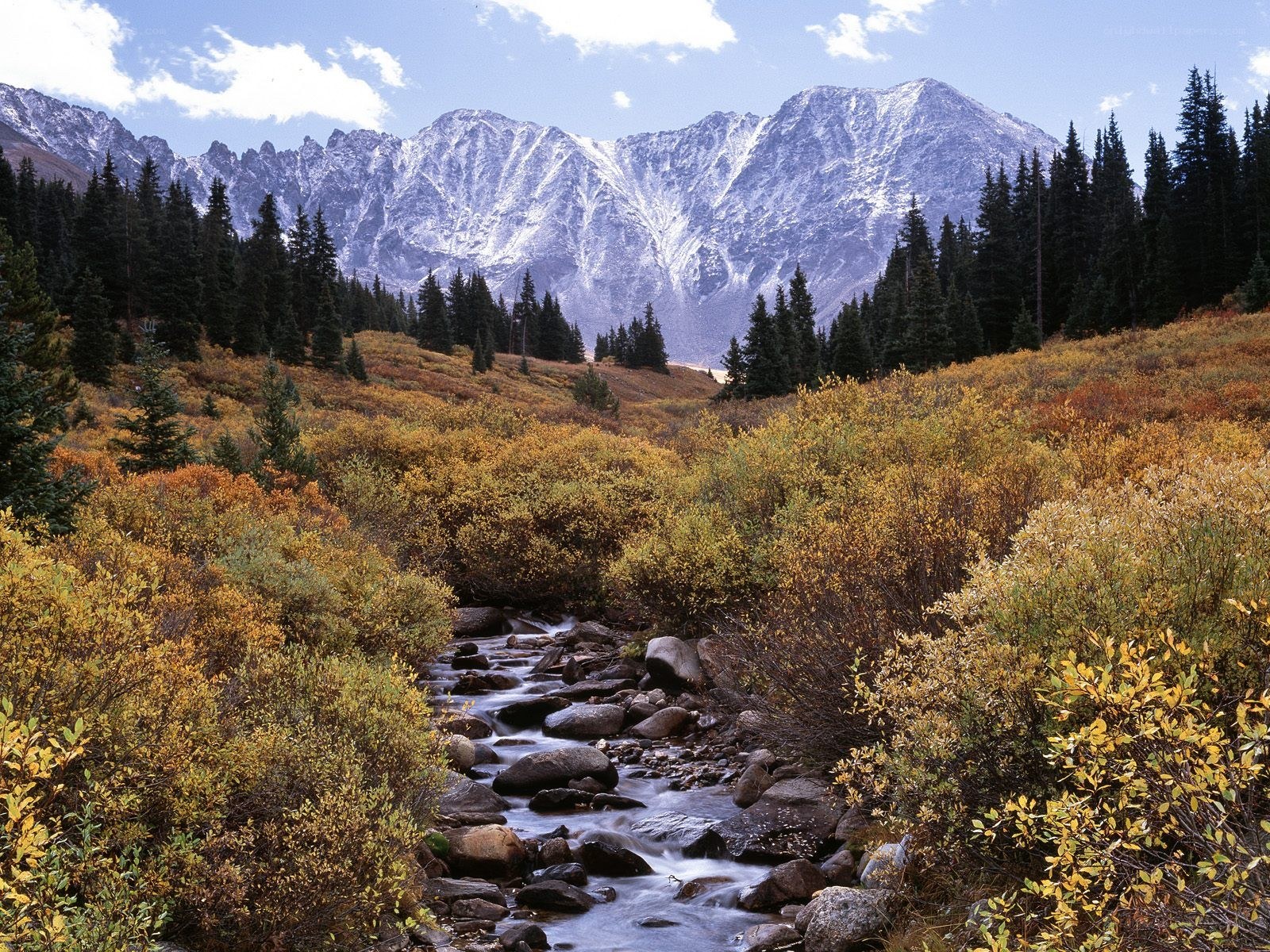 Mountain stream in autumn