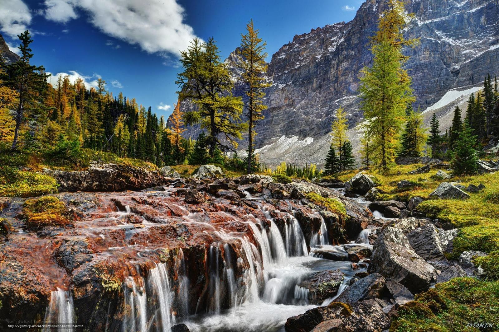 Mountain stream in autumn