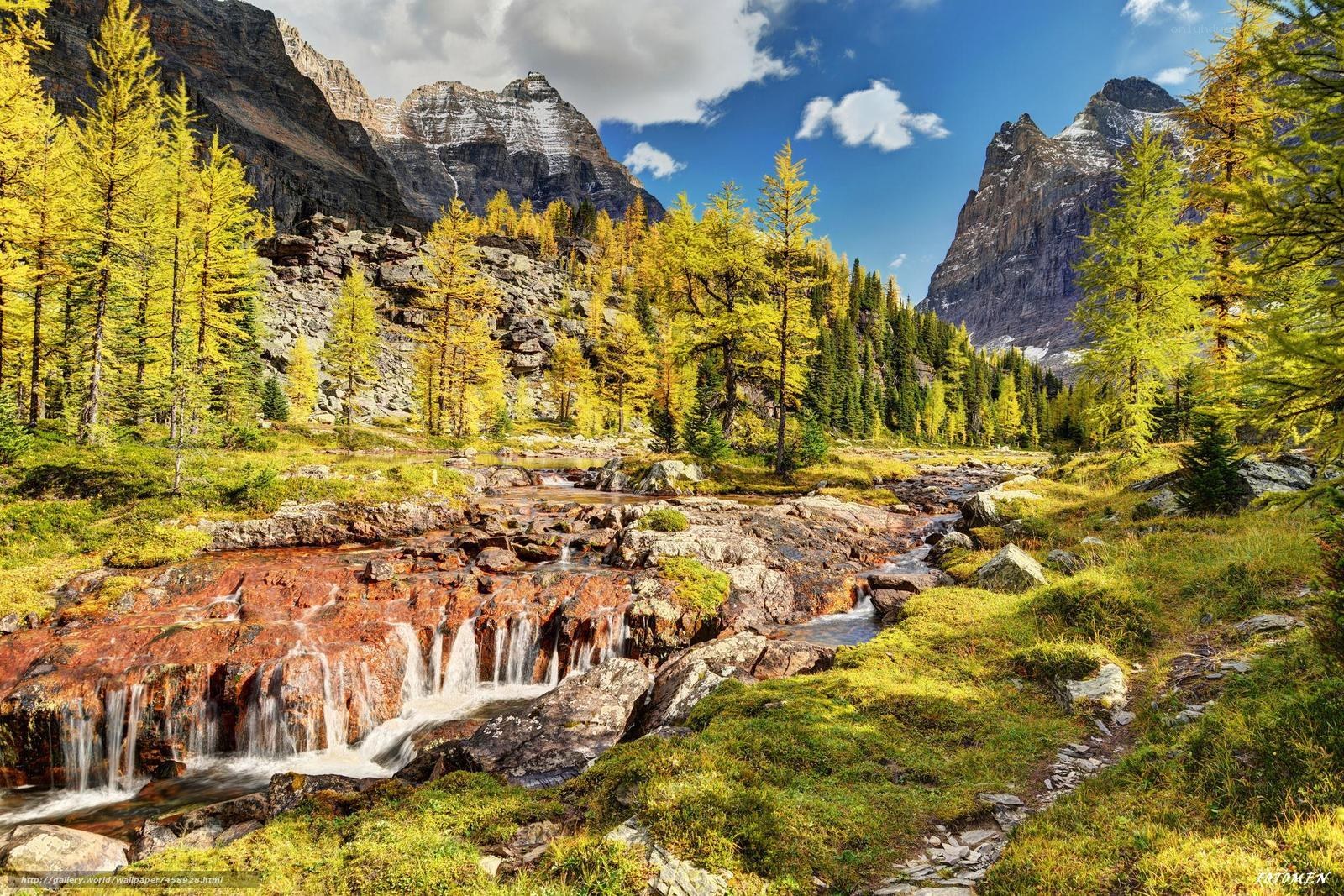 Mountain stream in autumn