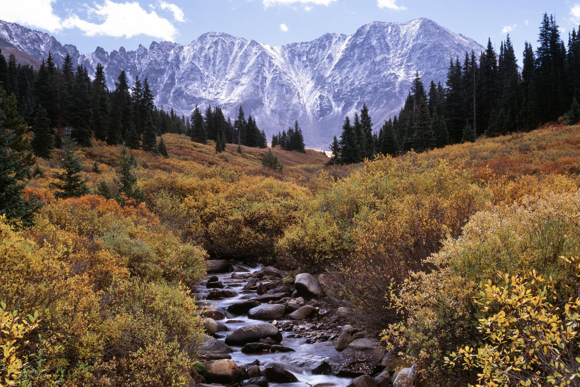 Mountain stream in autumn