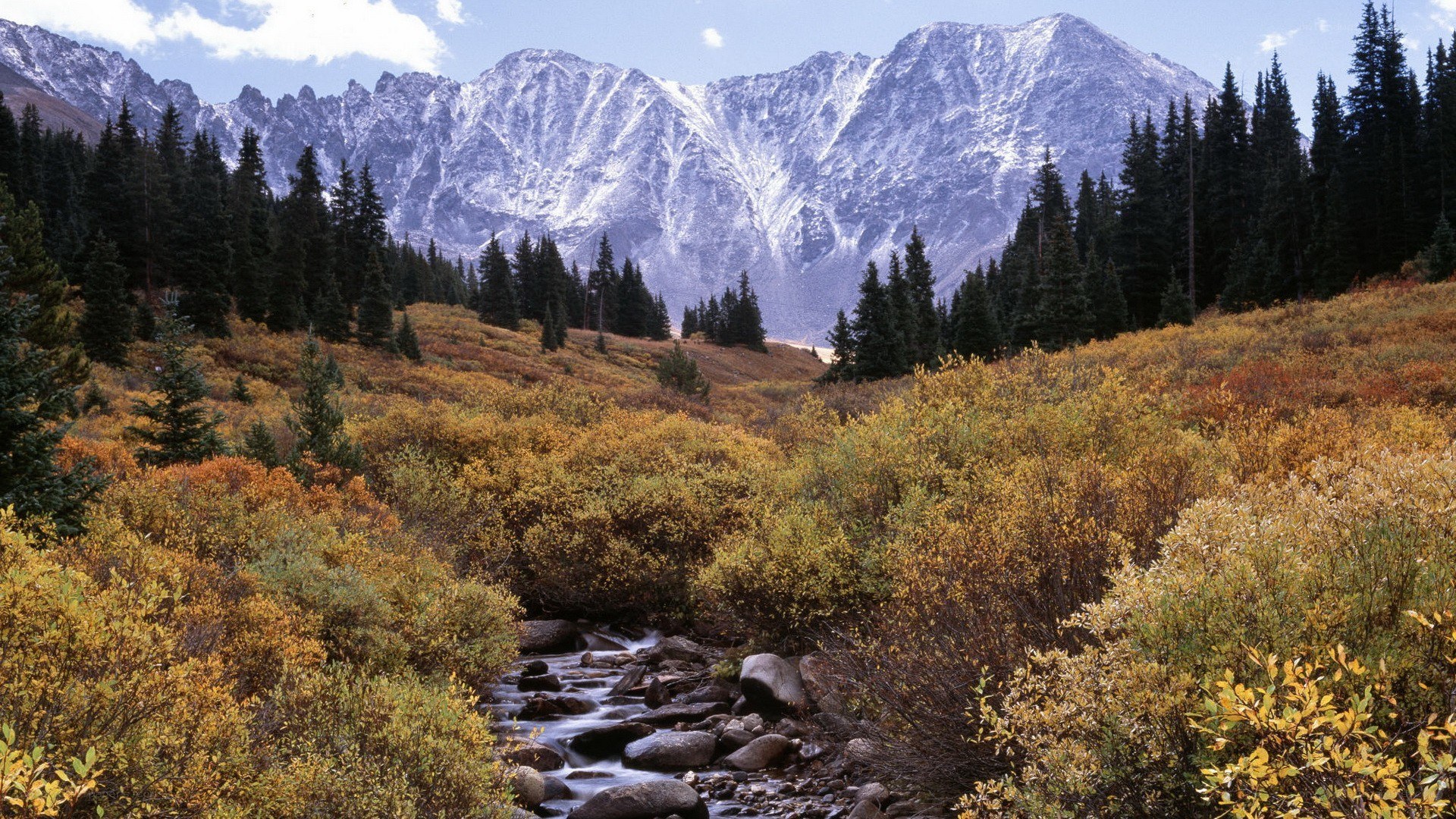 Mountain stream in autumn