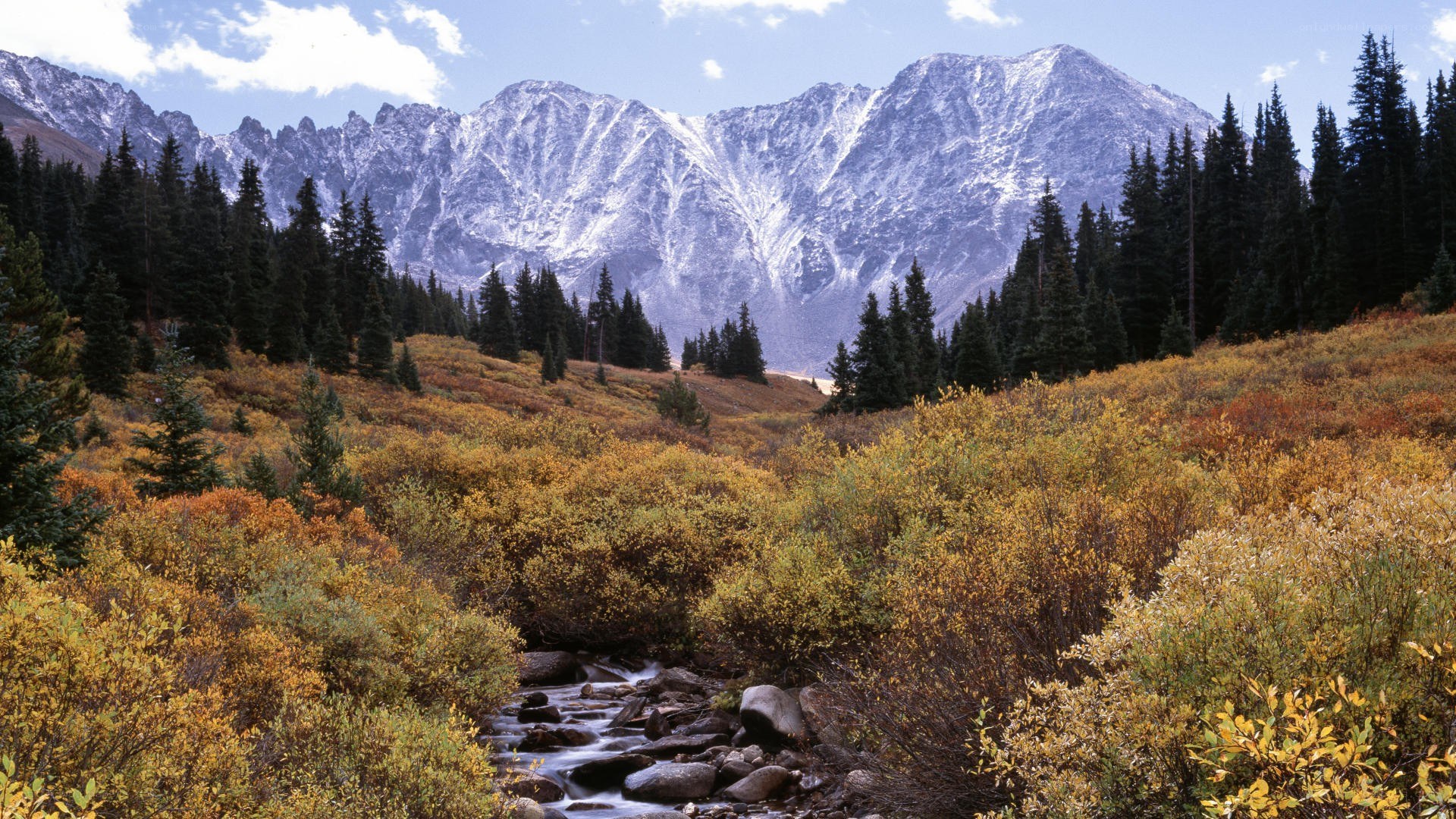 Mountain stream in autumn