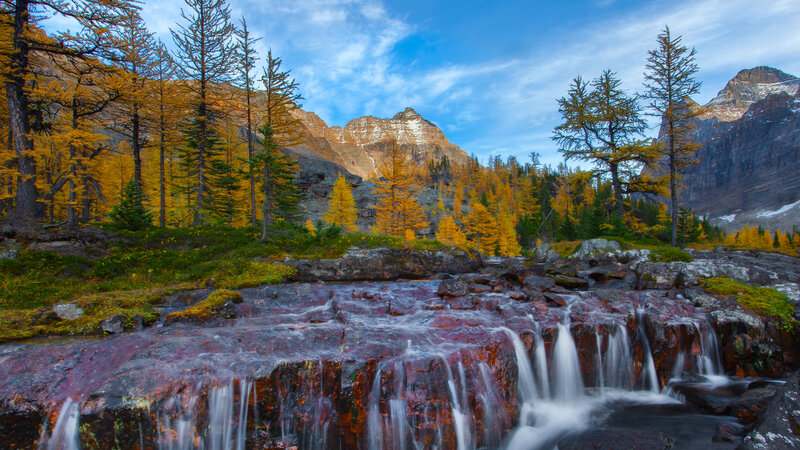 Mountain Stream in Autumn — Blue, Serene, Photograph, Trees