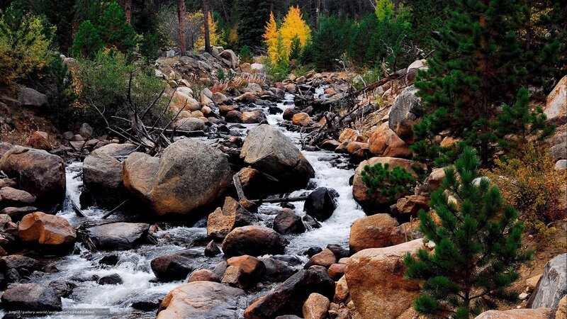 Mountain stream in autumn forest