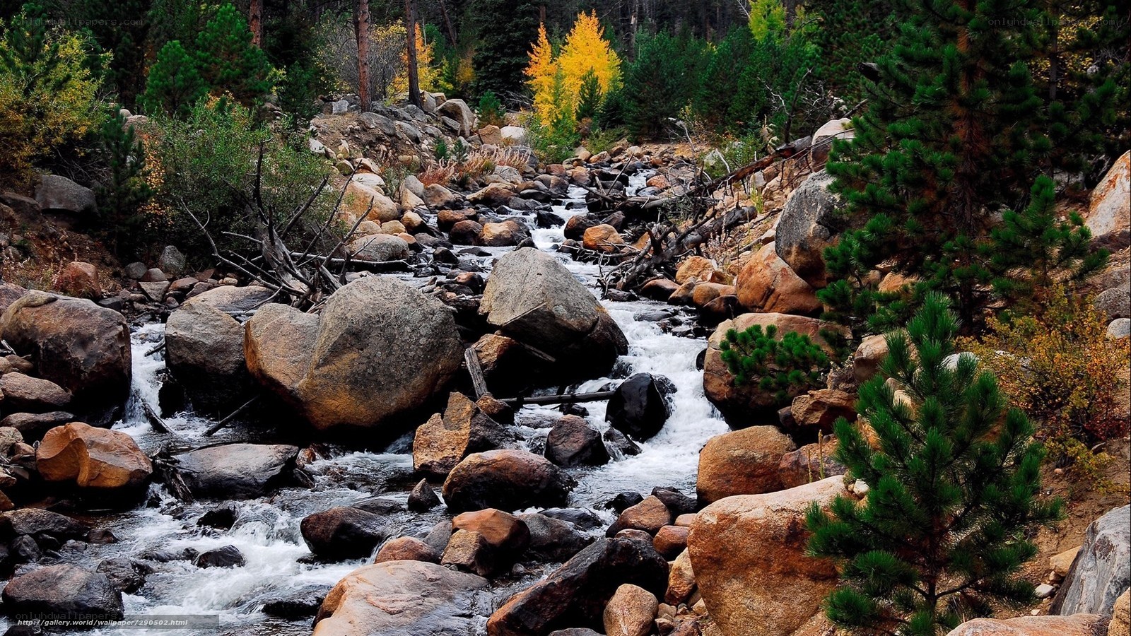 Mountain stream in autumn forest