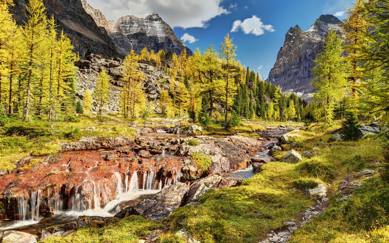 Mountain Stream in Autumn — Green, Serene, Photograph, Trees