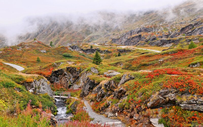 Mountain Stream in Autumn — Green