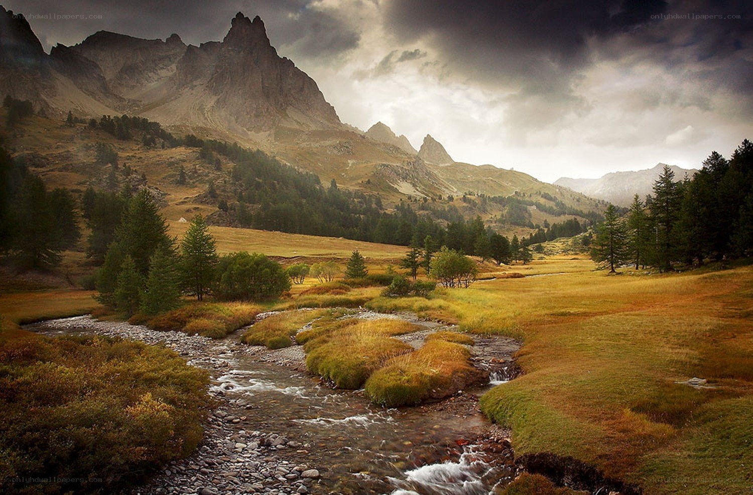 Mountain stream in autumn valley
