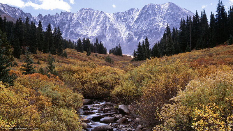 Mountain Stream in Autumn — Yellow, Serene
