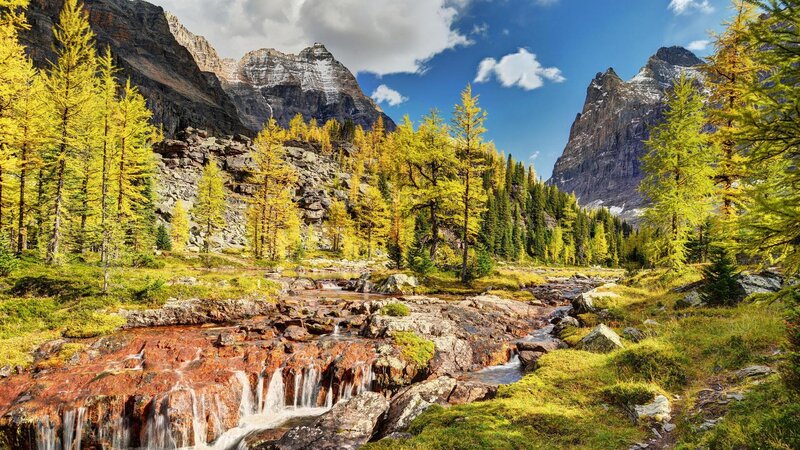 Mountain Stream in Autumn — Yellow