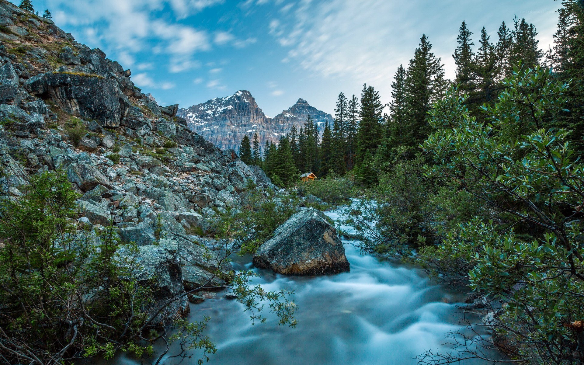 Mountain stream in forest