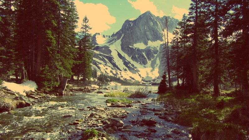 Mountain stream in forest