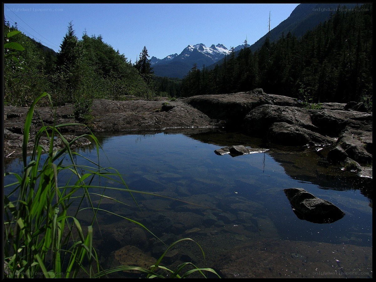 Mountain stream in forest