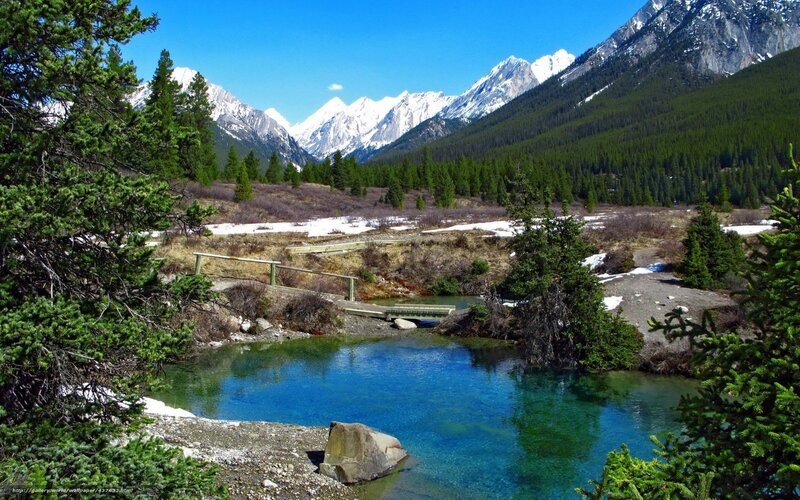 Mountain Stream in Forest — Blue, Serene, Spring