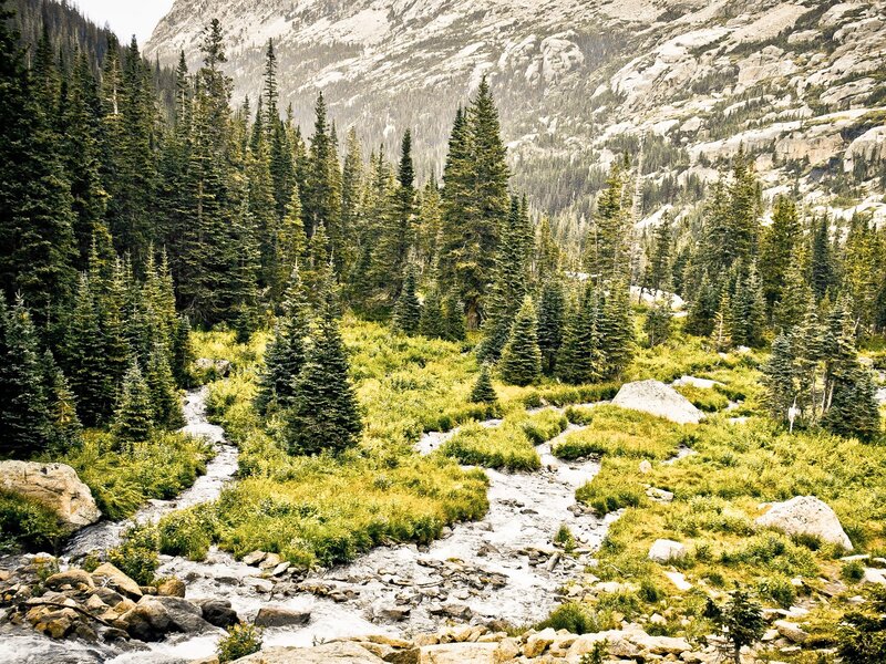 Mountain Stream in Forest — Green, Serene, Summer, Photograph, Trees