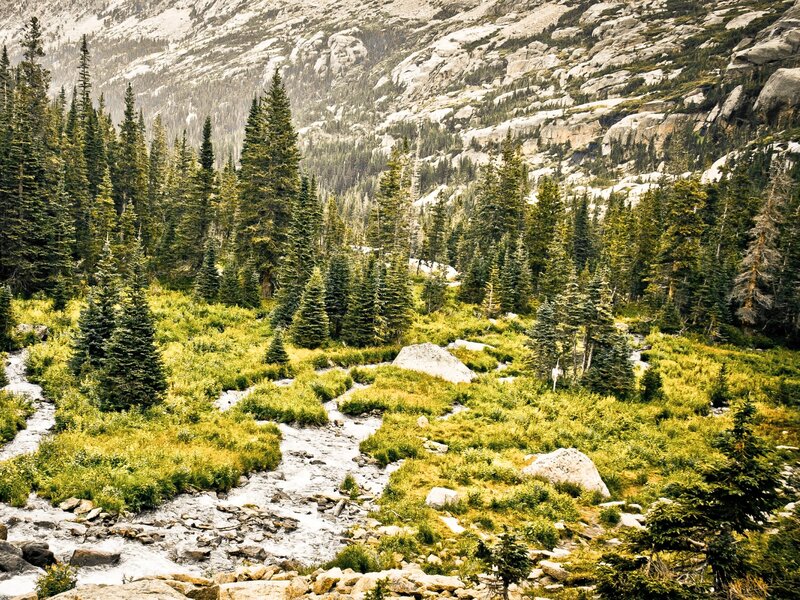 Mountain Stream in Forest — Green, Serene, Summer