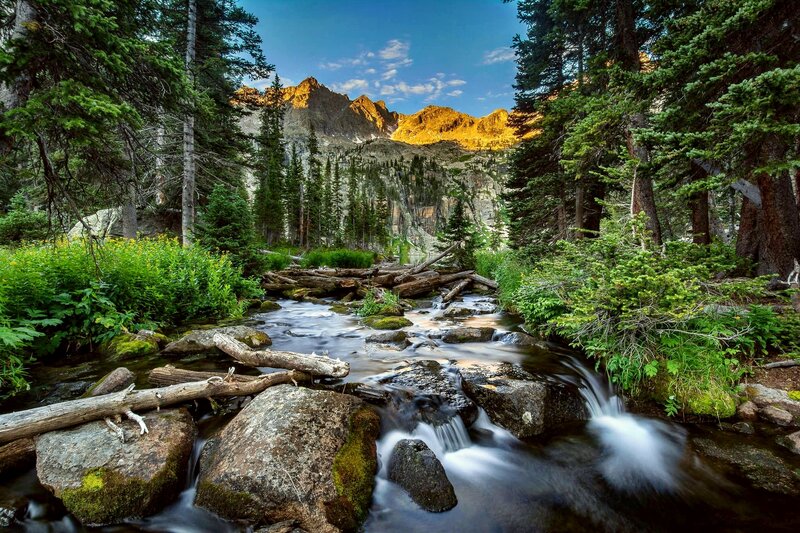 Mountain Stream in Forest — Green, Serene, Sunset, Photograph