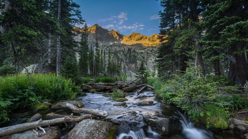Mountain Stream in Forest — Green, Serene, Sunset