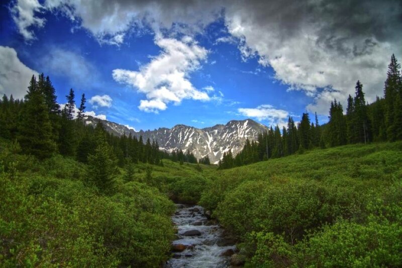 Mountain Stream in Forest — Green