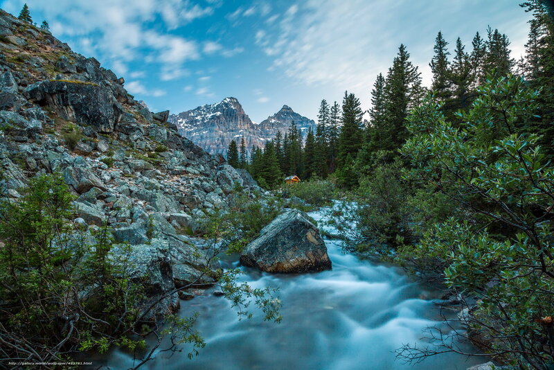 Mountain stream in forest