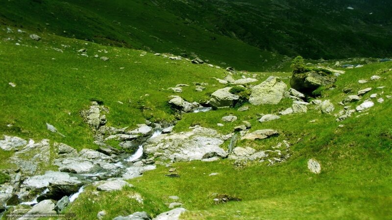 Mountain stream in green valley