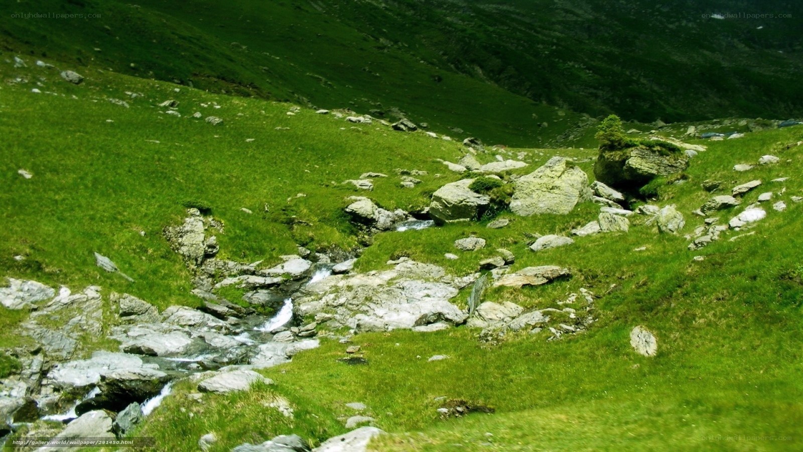 Mountain stream in green valley