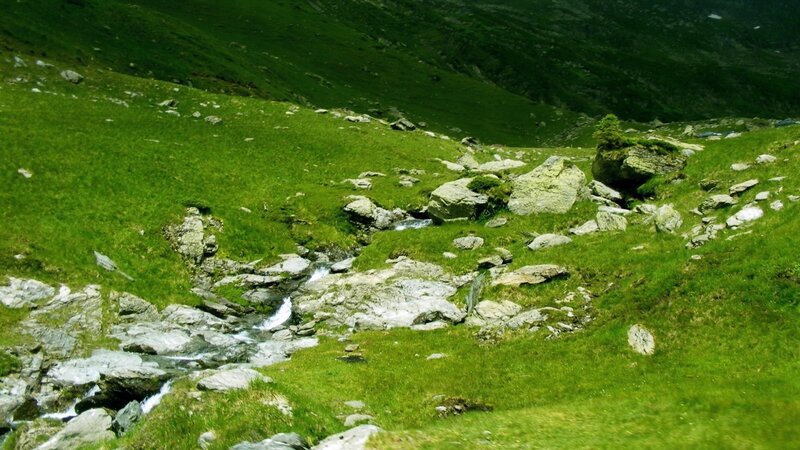 Mountain stream in green valley