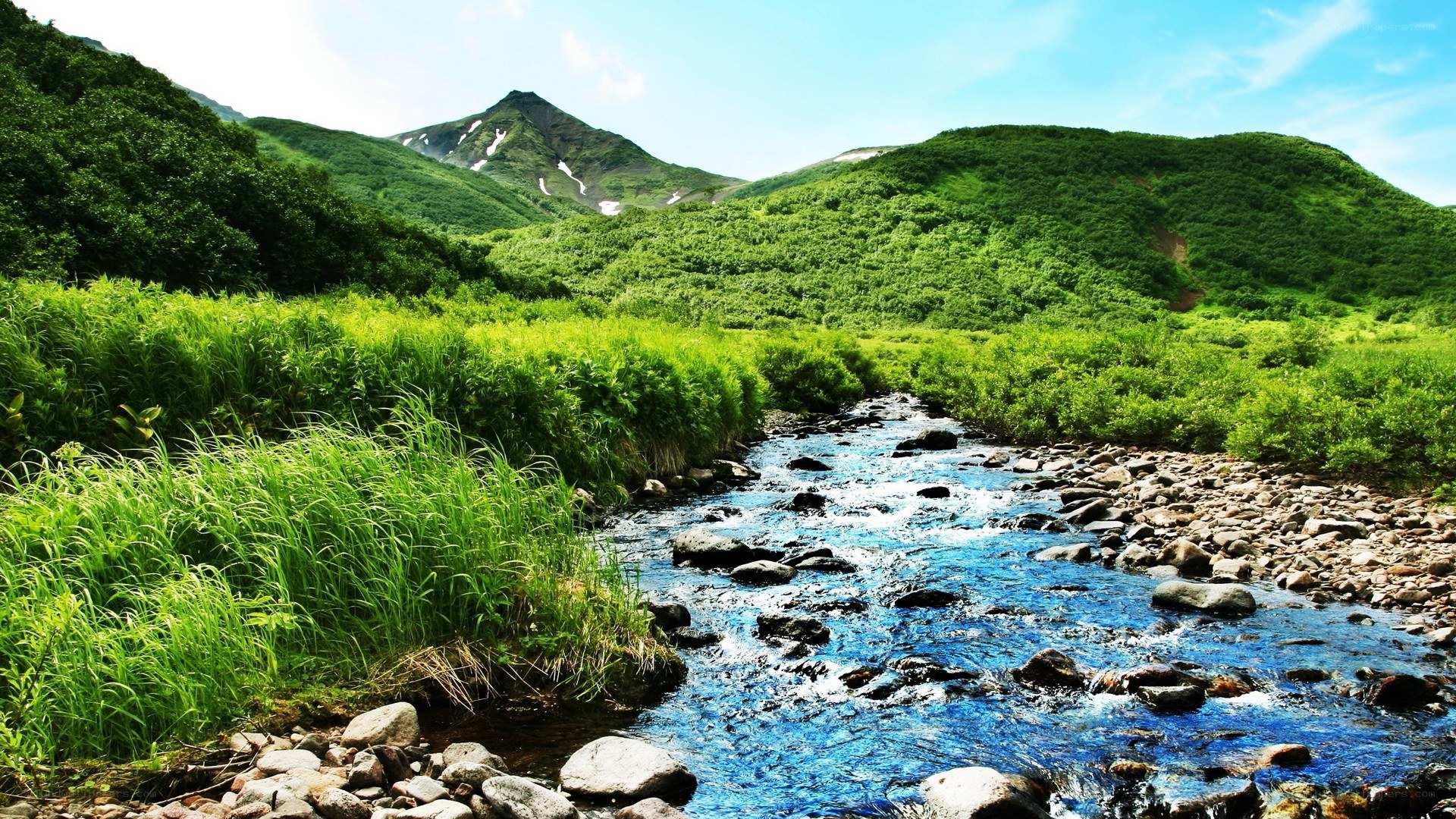 Mountain stream in lush green valley