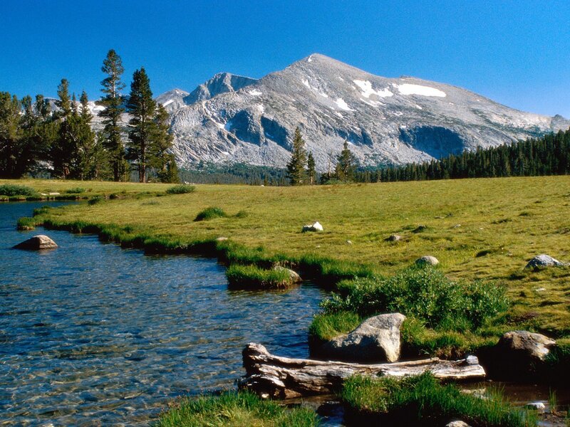 Mountain Stream in Meadow — Blue, Serene, Afternoon, Photograph