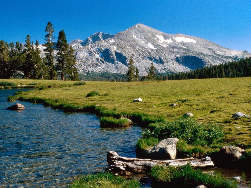 Mountain Stream in Meadow — Blue, Serene