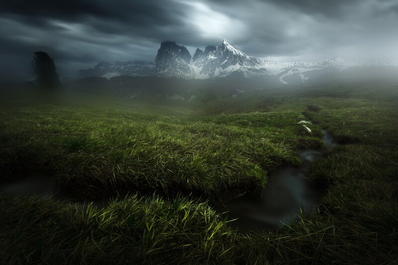 Mountain Stream in Meadow — Green, Dramatic, Morning