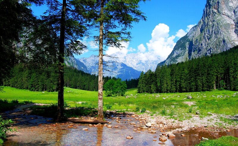 Mountain Stream in Meadow — Green, Serene, Afternoon