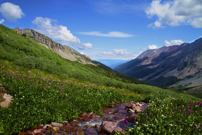 Mountain Stream in Meadow — Green